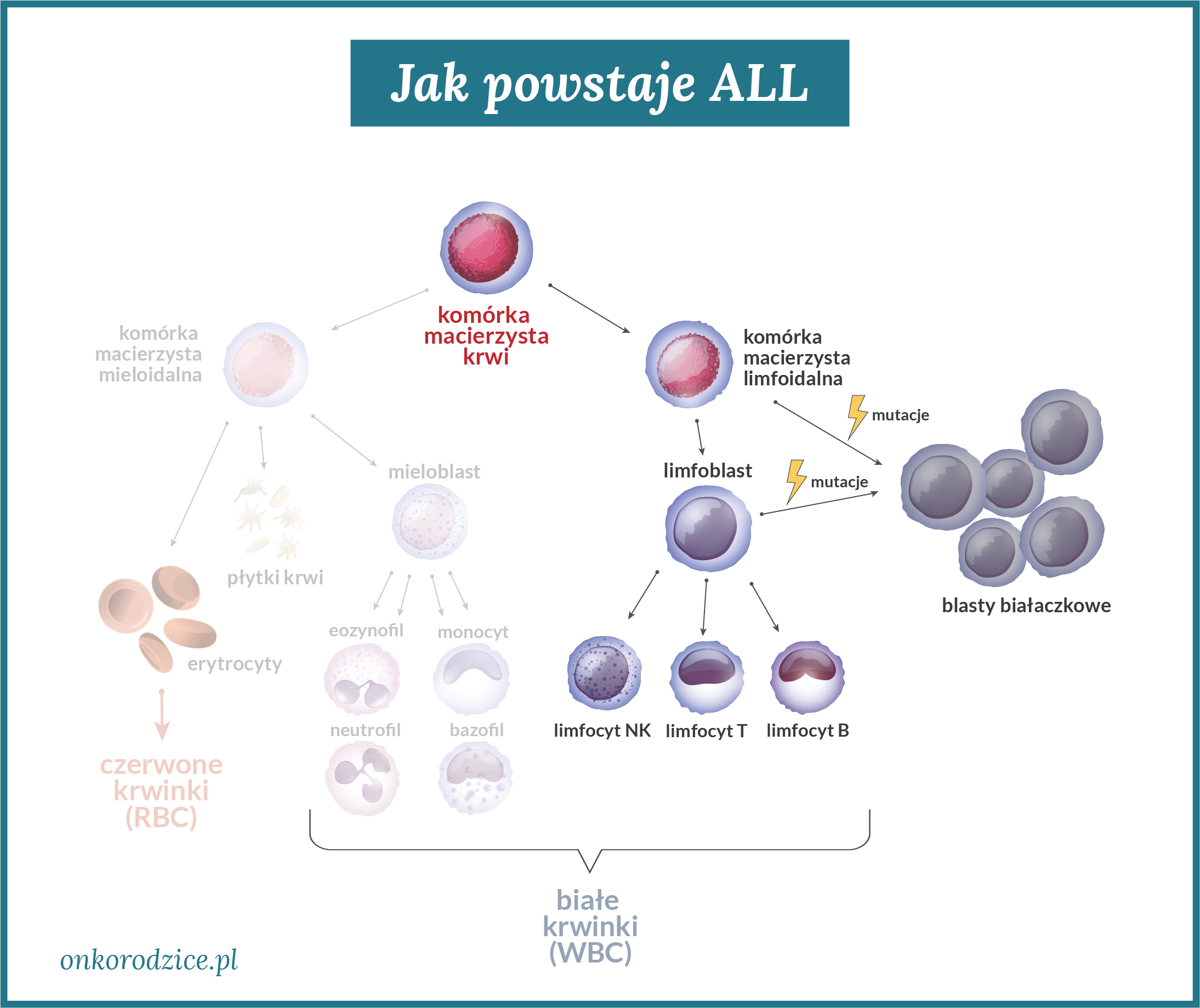ALL_jak powstaje