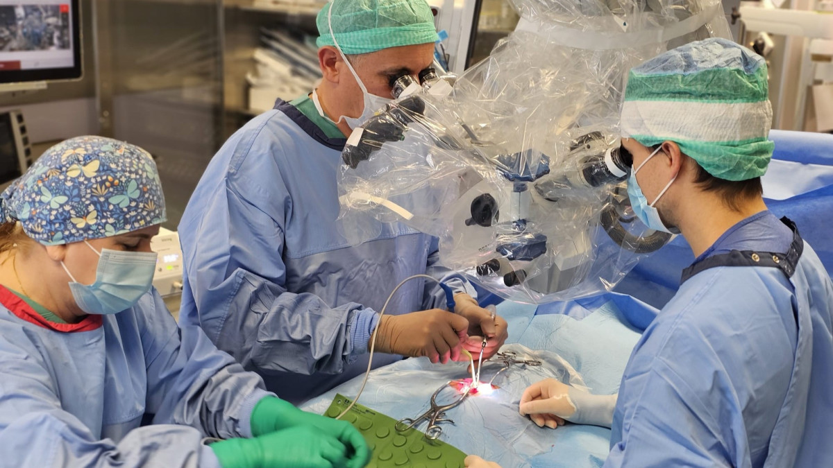 CZD_1_whatsapp-image-2026-03-23-at-135311-3