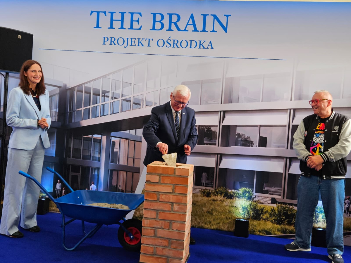 THE BRAIN